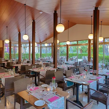 Turquoise リゾート シダ